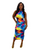 Tropical Burst Dress